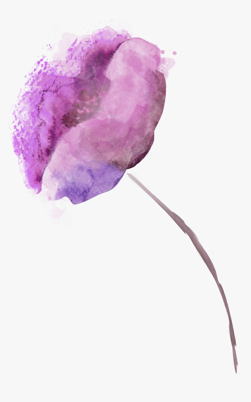 Violet Png, Transparent Png, Free Download