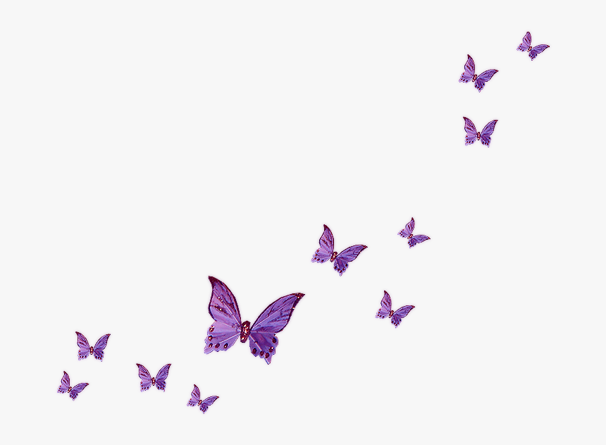Lavender Butterfly Clipart - Flying Butterflies Transparent Background, HD Png Download, Free Download