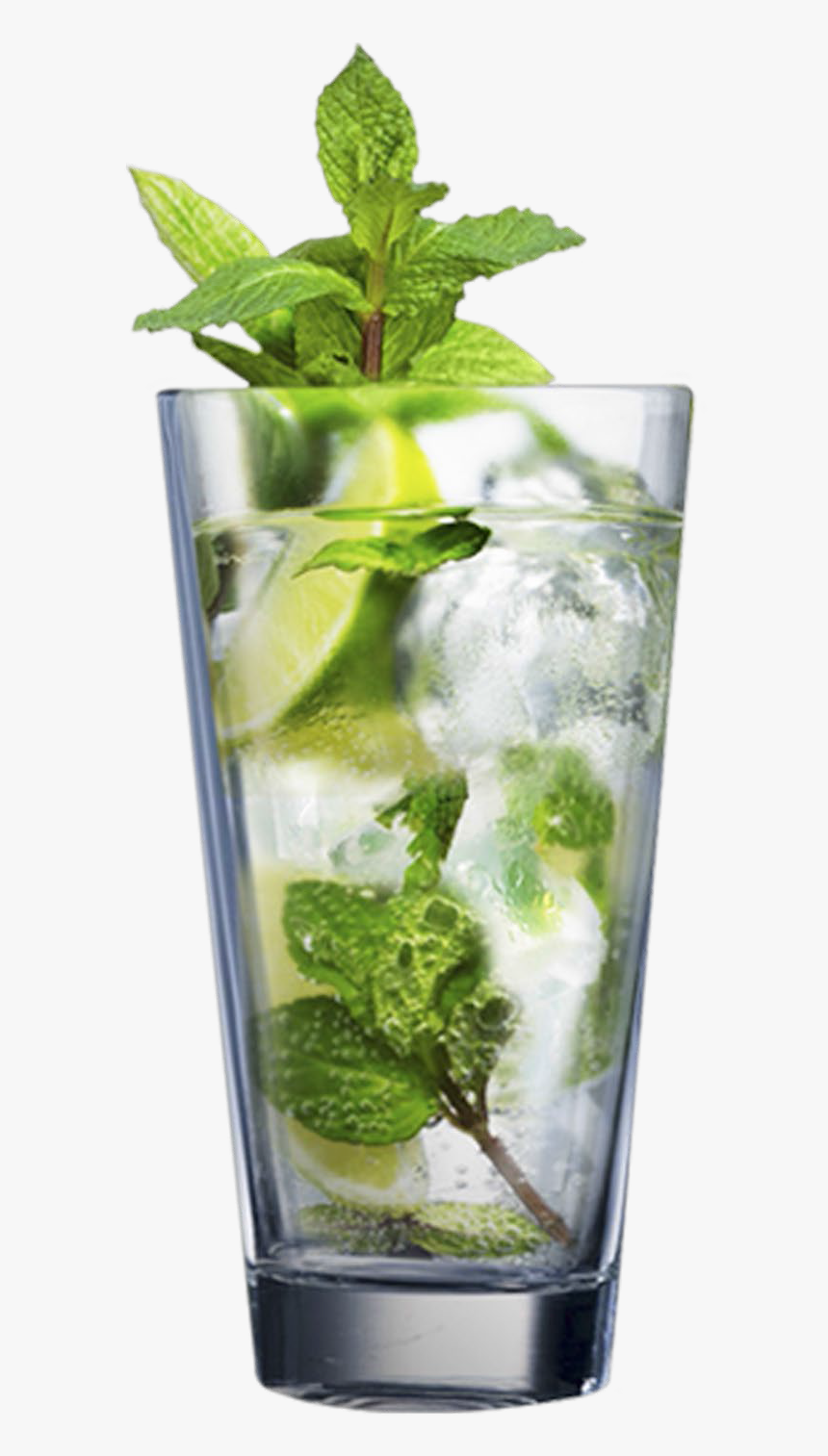 Mojito Drink, HD Png Download, Free Download