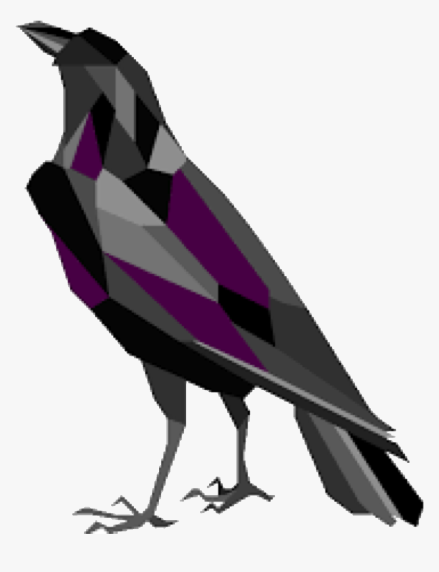 Black Crow Seo - Raven Icon, HD Png Download, Free Download