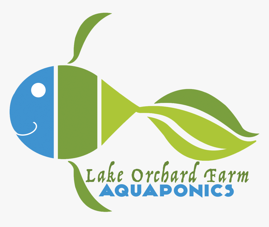 Lake Orchard Aquaponics - Pomacentridae, HD Png Download, Free Download