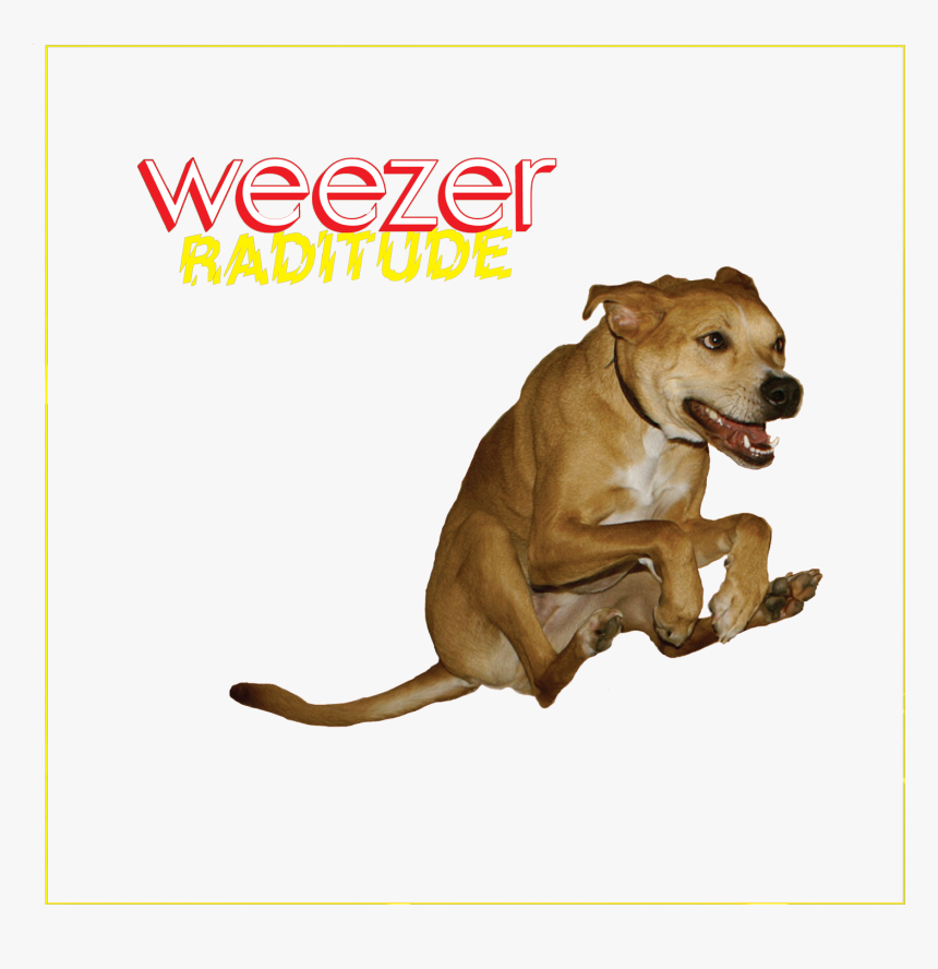 Weezer Dog Dog Like Mammal Dog Breed Snout, HD Png Download, Free Download