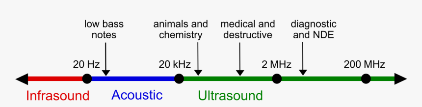 Ultrasound Frequency, HD Png Download, Free Download