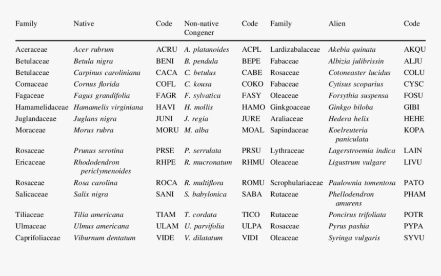 Scientific Name Of Plant, HD Png Download, Free Download