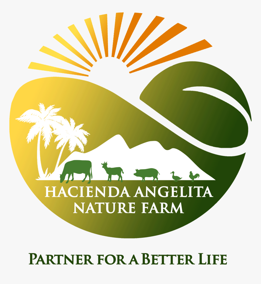 Hacienda Angelita - Supernatural Season 1 Dvd Cover, HD Png.
