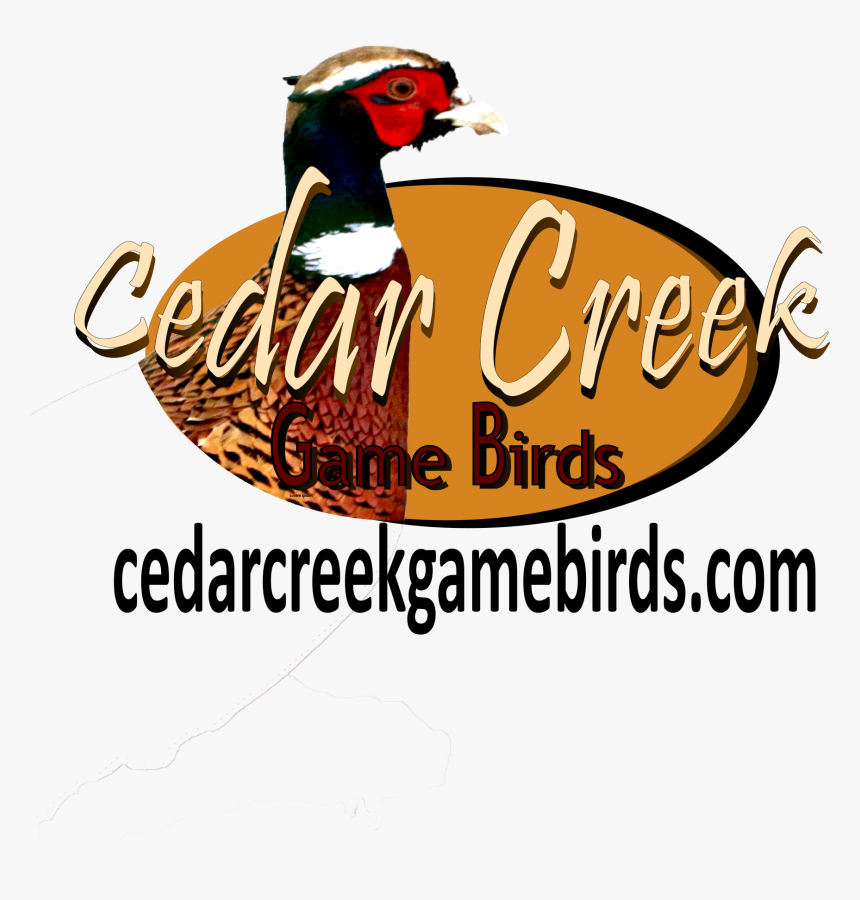 Cedar Creek Game Birds Logo - Cartoon, HD Png Download, Free Download