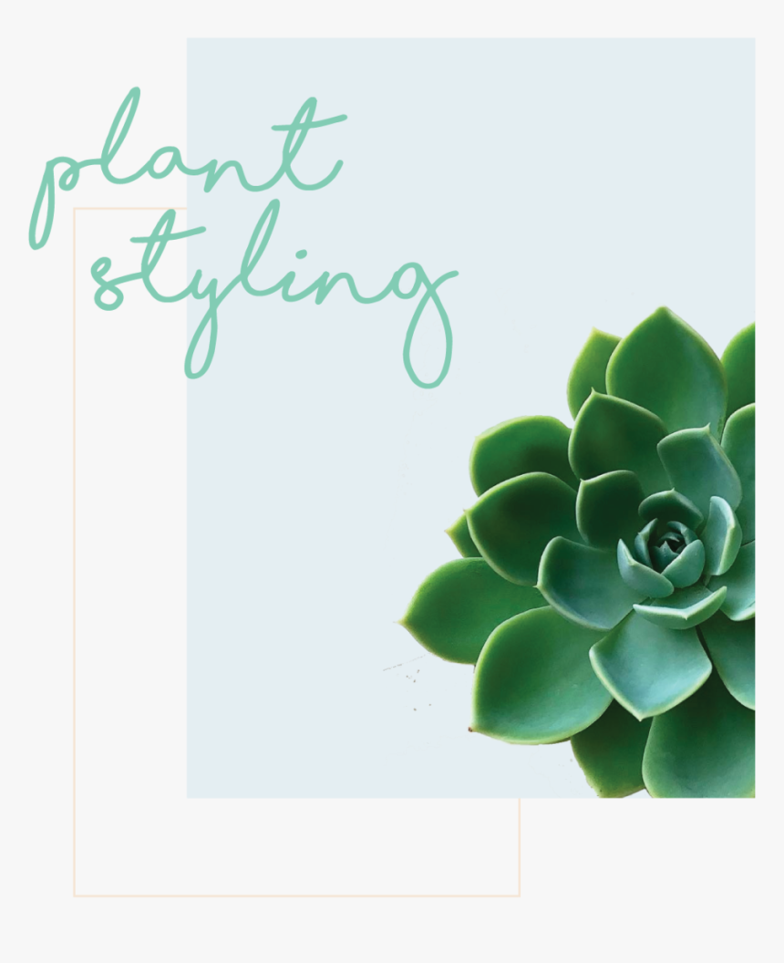 Plant-styling - Christmas Card, HD Png Download, Free Download