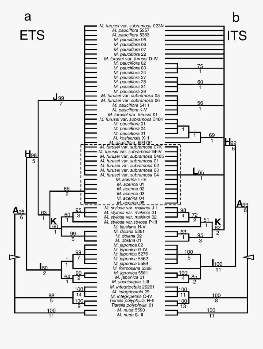 Diagram, HD Png Download, Free Download