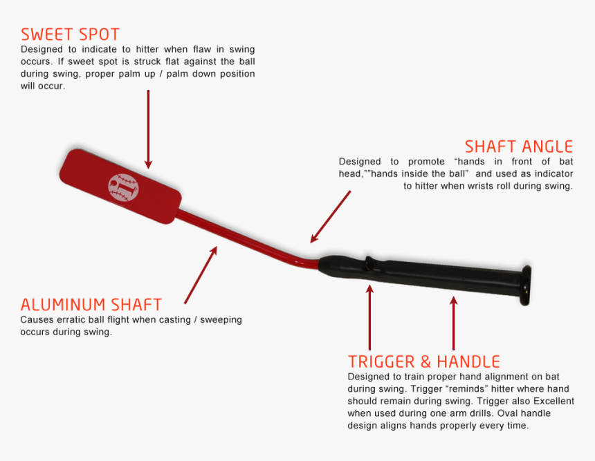 Inside Bat, HD Png Download, Free Download