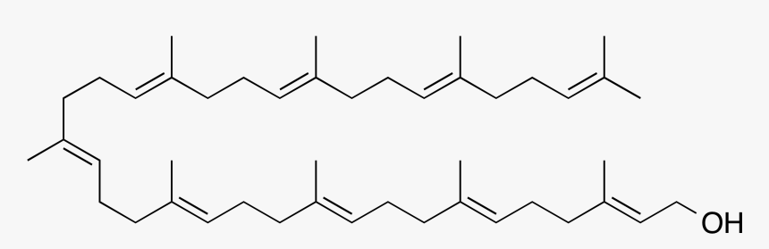 Solanesol Folded - Line Art, HD Png Download, Free Download