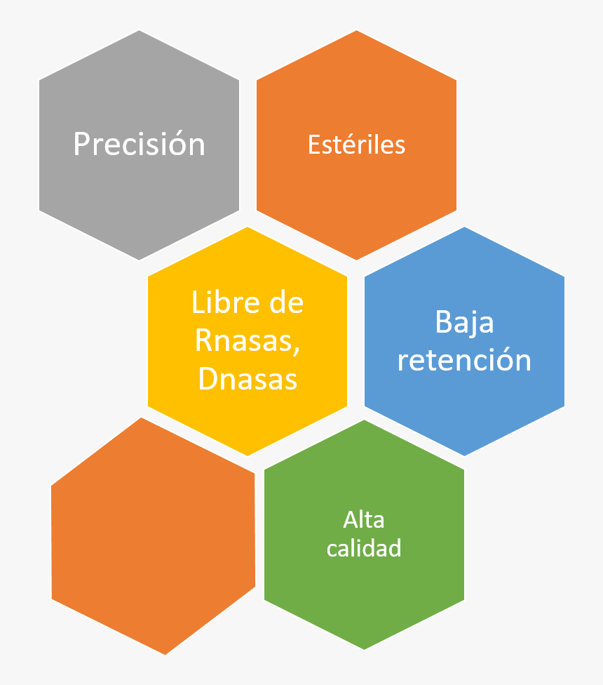 5 Key Principles Of Six Sigma, HD Png Download, Free Download