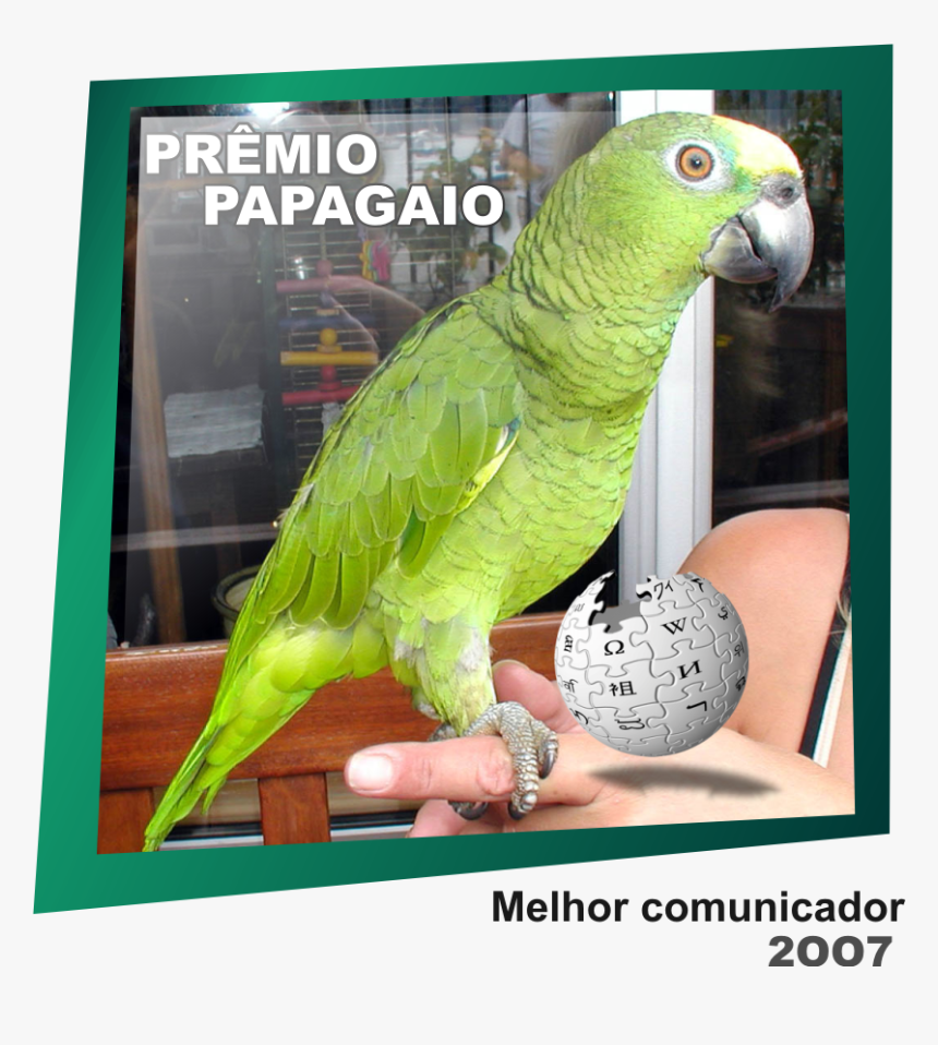 Prêmio Papagaio - Loro Papagaio, HD Png Download, Free Download