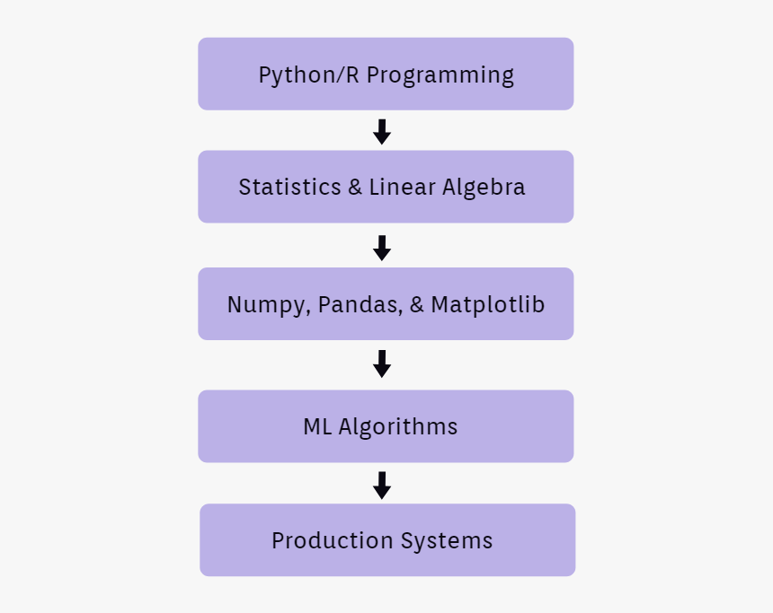 Python For Data Scientist, HD Png Download, Free Download