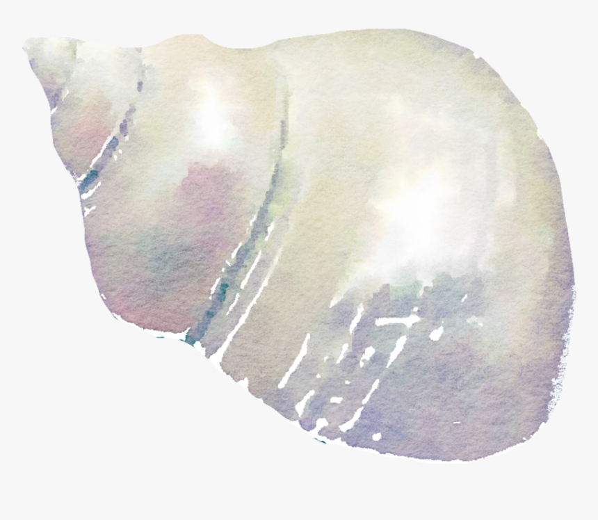 Transparent Muschel Clipart - Painting Of Seashell, HD Png Download, Free Download