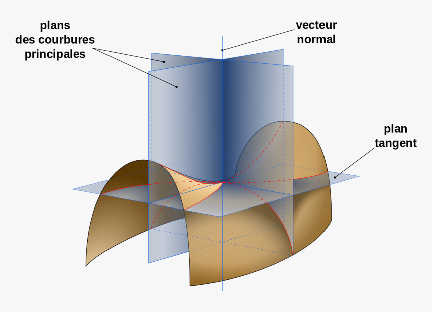 Gaussian Curvature, HD Png Download, Free Download