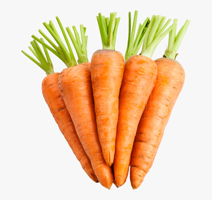 1 Carrots, HD Png Download, Free Download