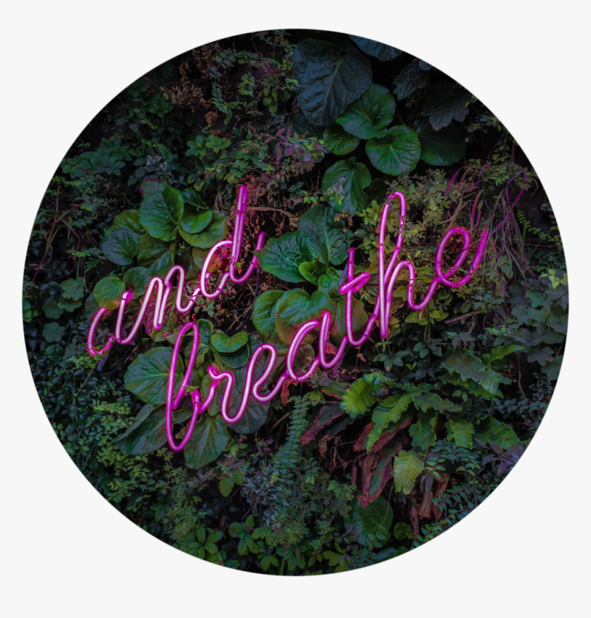 And Breathe - Calligraphy, HD Png Download, Free Download