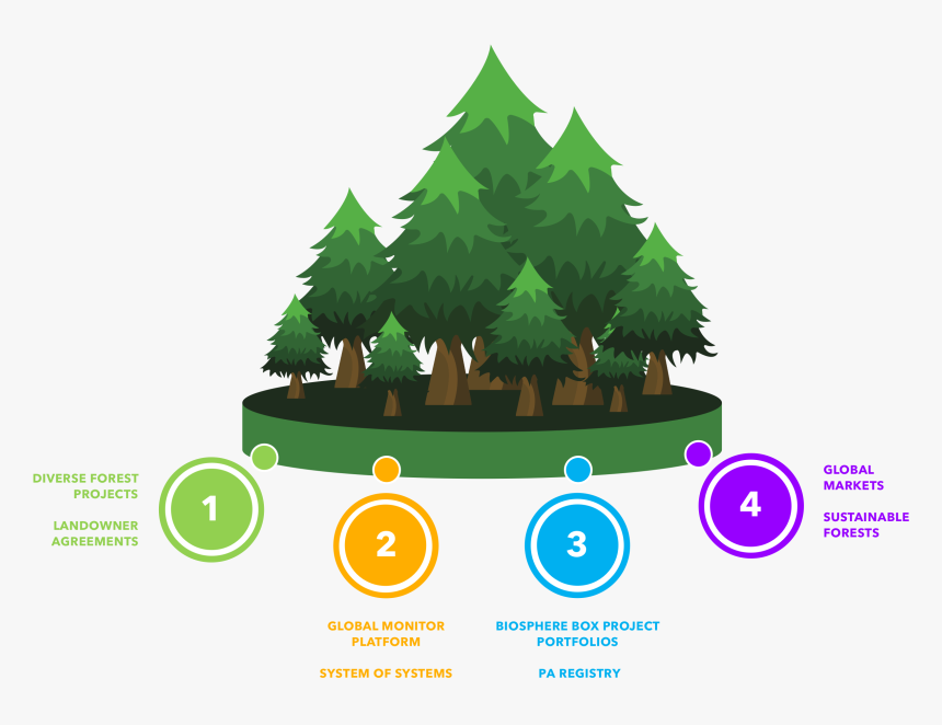 Forest Carbon Model Works, HD Png Download, Free Download