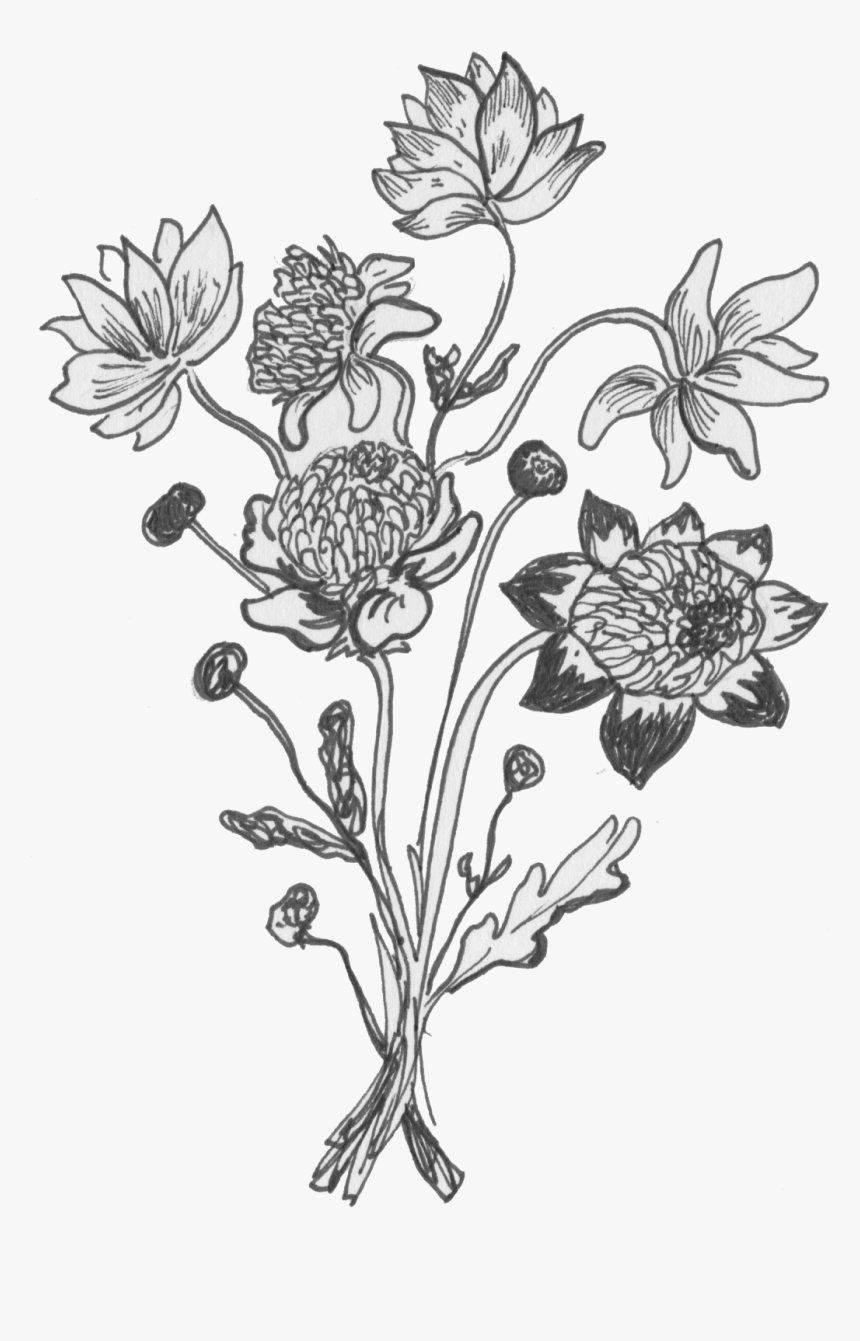 Bc Drawing - Buttercup, HD Png Download, Free Download