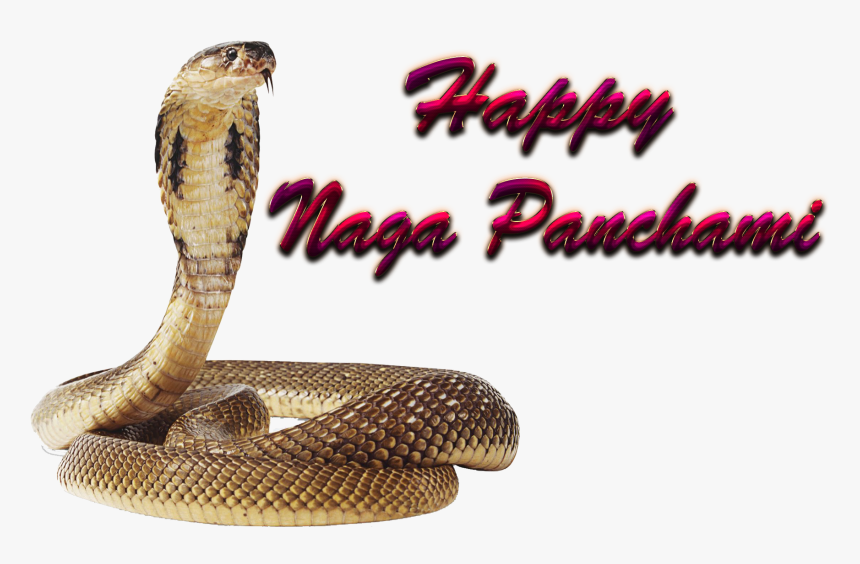 Naga Panchami Free Png - Nag Panchami Images Png, Transparent Png, Free Download