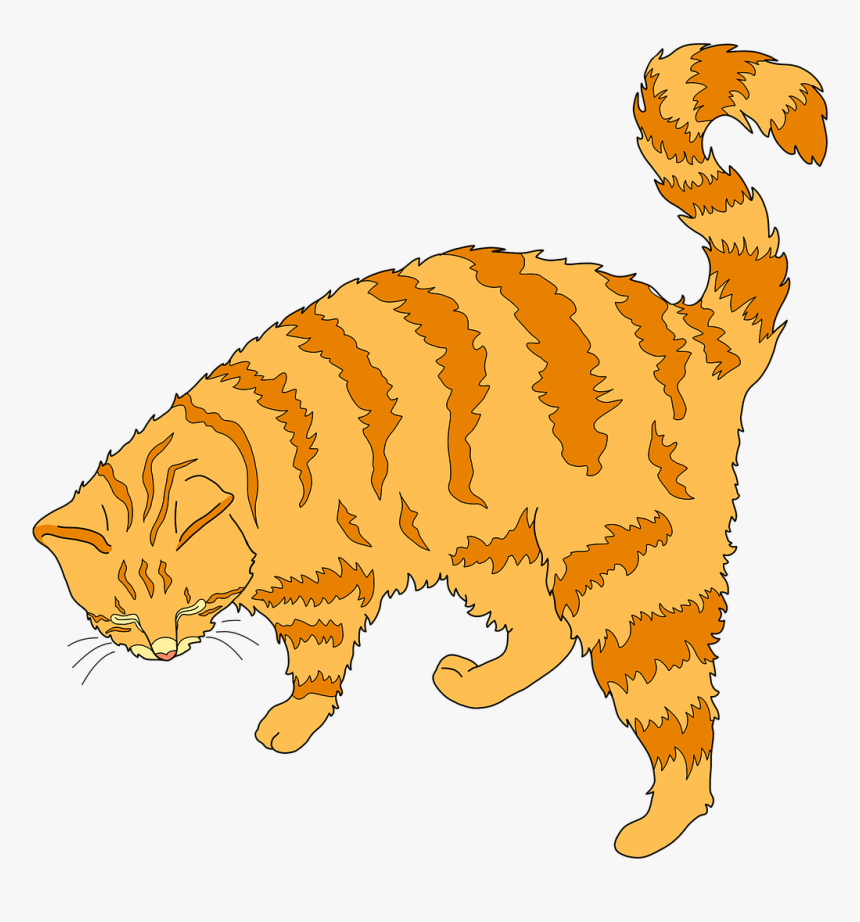 Cat Ginger Cat Cute Cat Free Picture - Ginger Tomcat Clipart, HD Png Download, Free Download