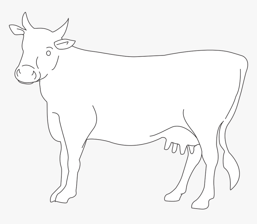 Cow, Cattle, Livestock, Farm, Animal, Beef, Dairy, - Cow White Vector Png, Transparent Png, Free Download