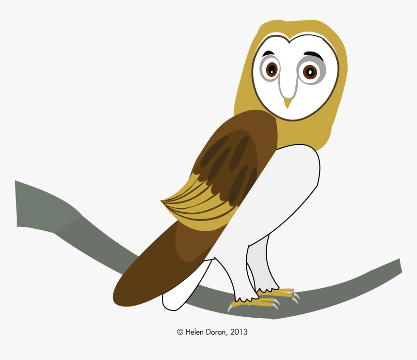 Barn Owl Gyöngybagoly , Png Download, Transparent Png, Free Download