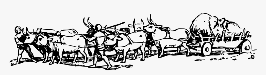 Bullock, Cart, Huge, Pull, Rural, Village, Agriculture - Cartoon Bullock Cart Png, Transparent Png, Free Download