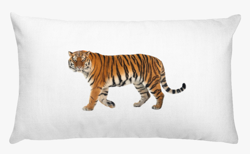 "
 Class="lazyload Lazyload Mirage Cloudzoom Featured - Pillow, HD Png Download, Free Download