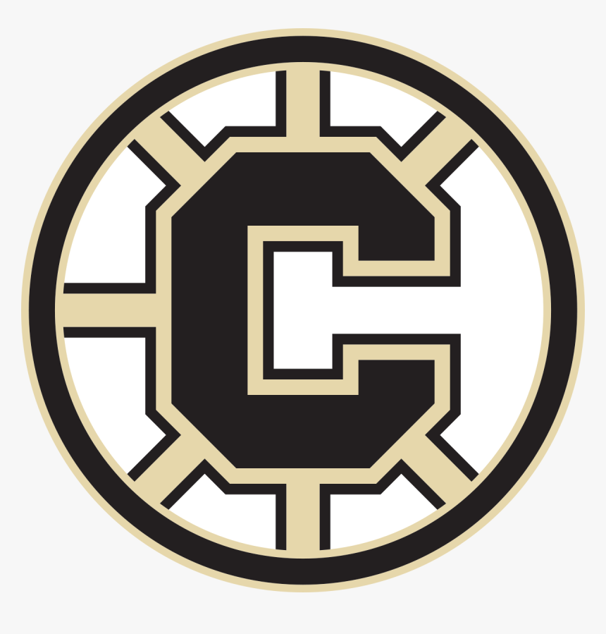 bruins logo png