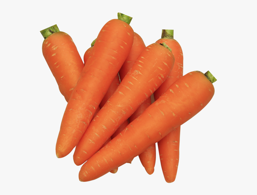 Carrot Carrot Png Download - Carrot, Transparent Png, Free Download