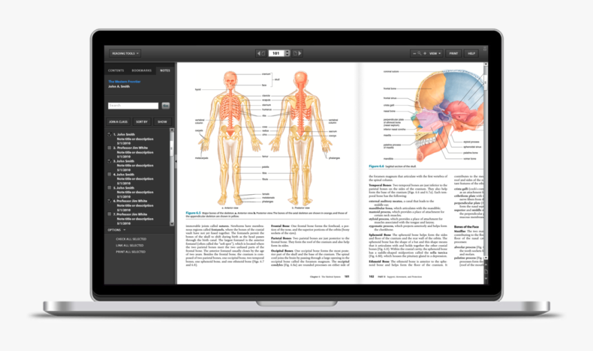 Norton Etextbook Reader Showcase Sq Spc, HD Png Download, Free Download