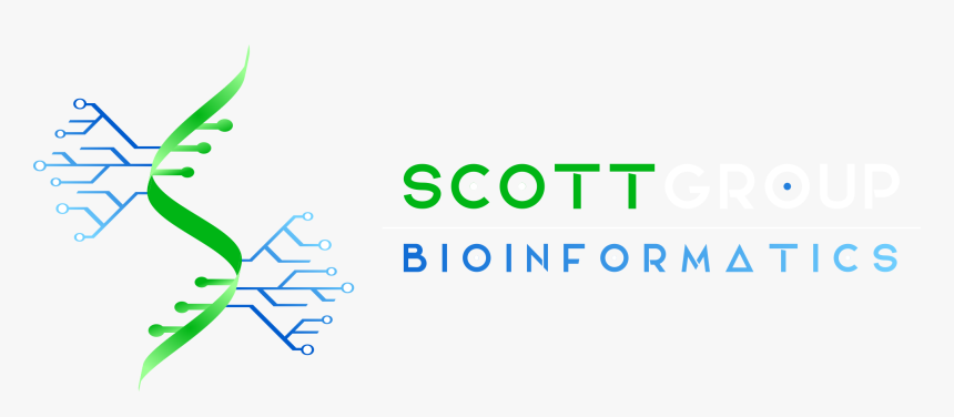 Scott Logo - Graphic Design, HD Png Download, Free Download