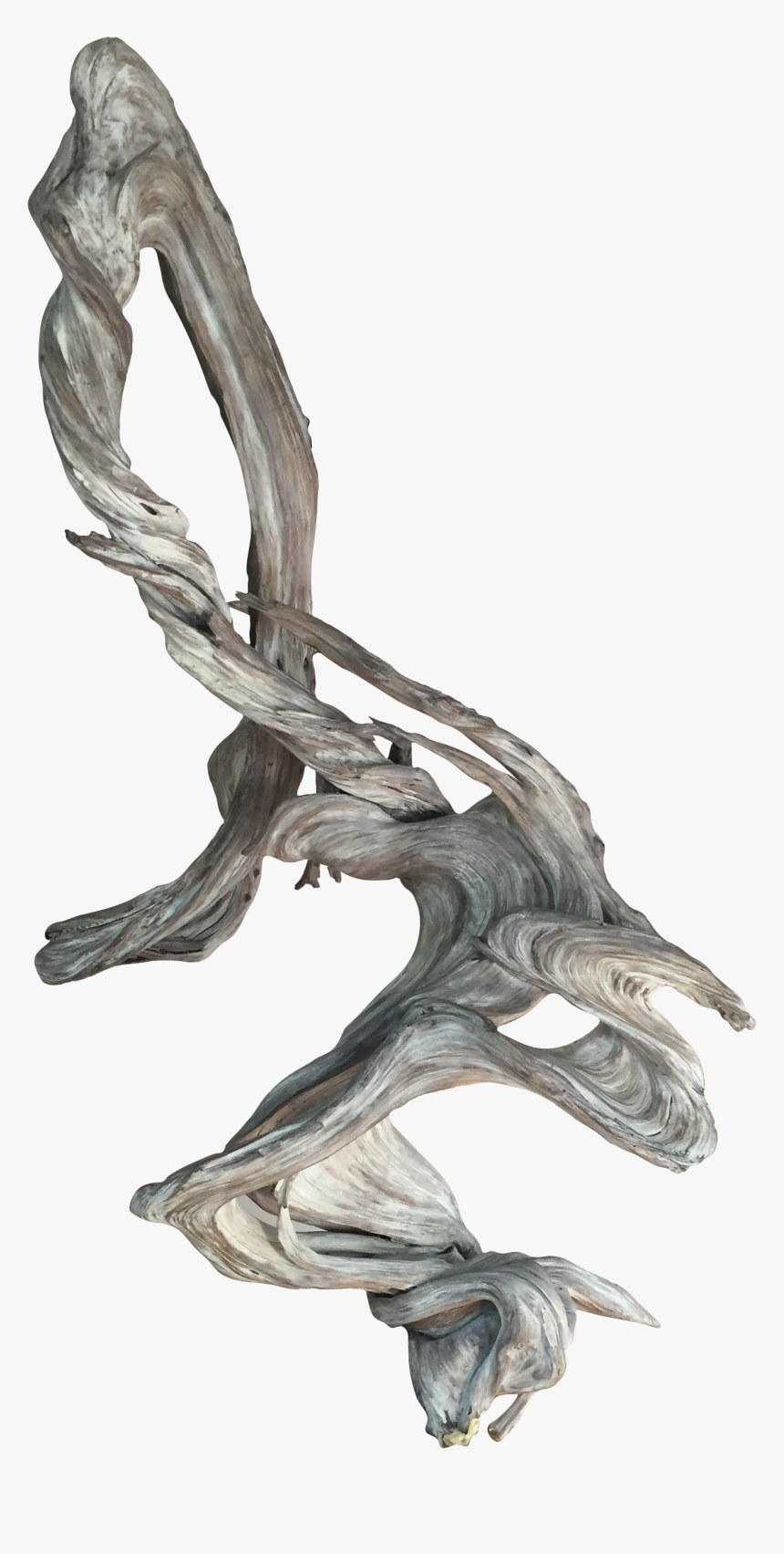 Driftwood, HD Png Download, Free Download