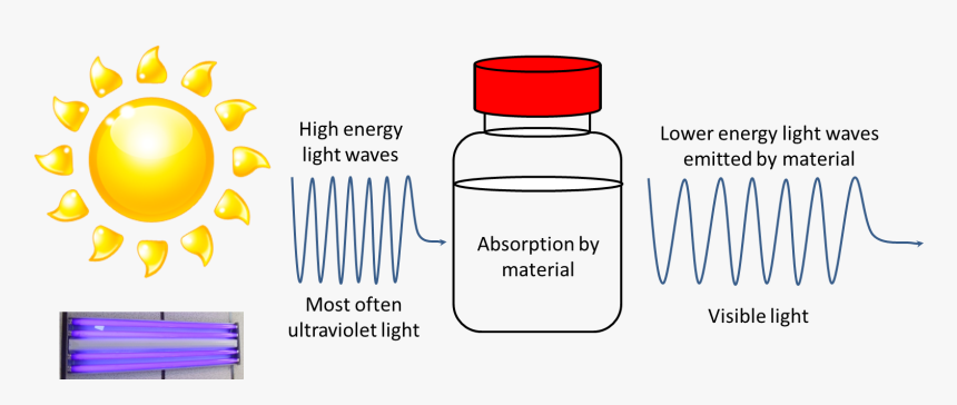 Fluorescence Diagram - Fun In The Sun, HD Png Download, Free Download