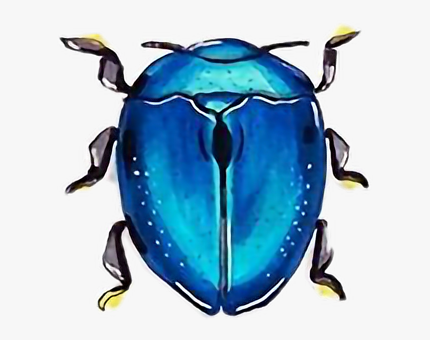 #beetle #beetles #beetlejuice #freetoedit - Leaf Beetle, HD Png Download, Free Download