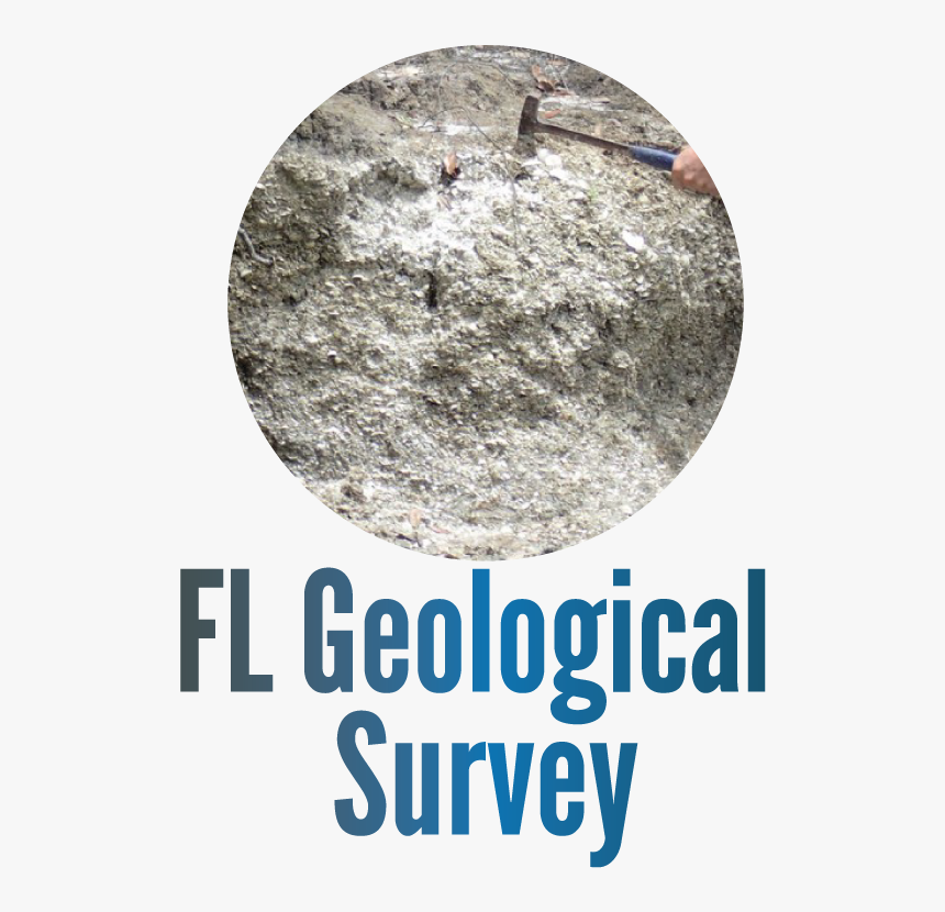 Fl Geological Survey - Orasure Technologies, Inc., HD Png Download, Free Download