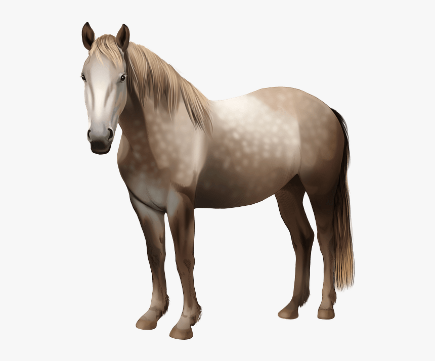 Stallion, HD Png Download, Free Download