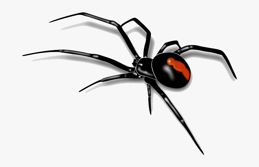 Spider Png Images Transparent Free Download - Spider Transparent Background, Png Download, Free Download