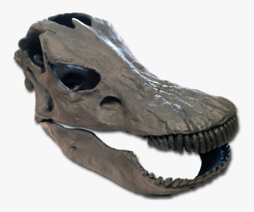 Crocodile, HD Png Download, Free Download