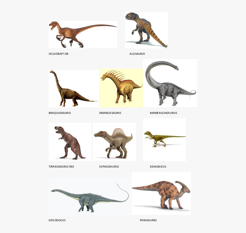 Schleich T Rex, HD Png Download, Free Download