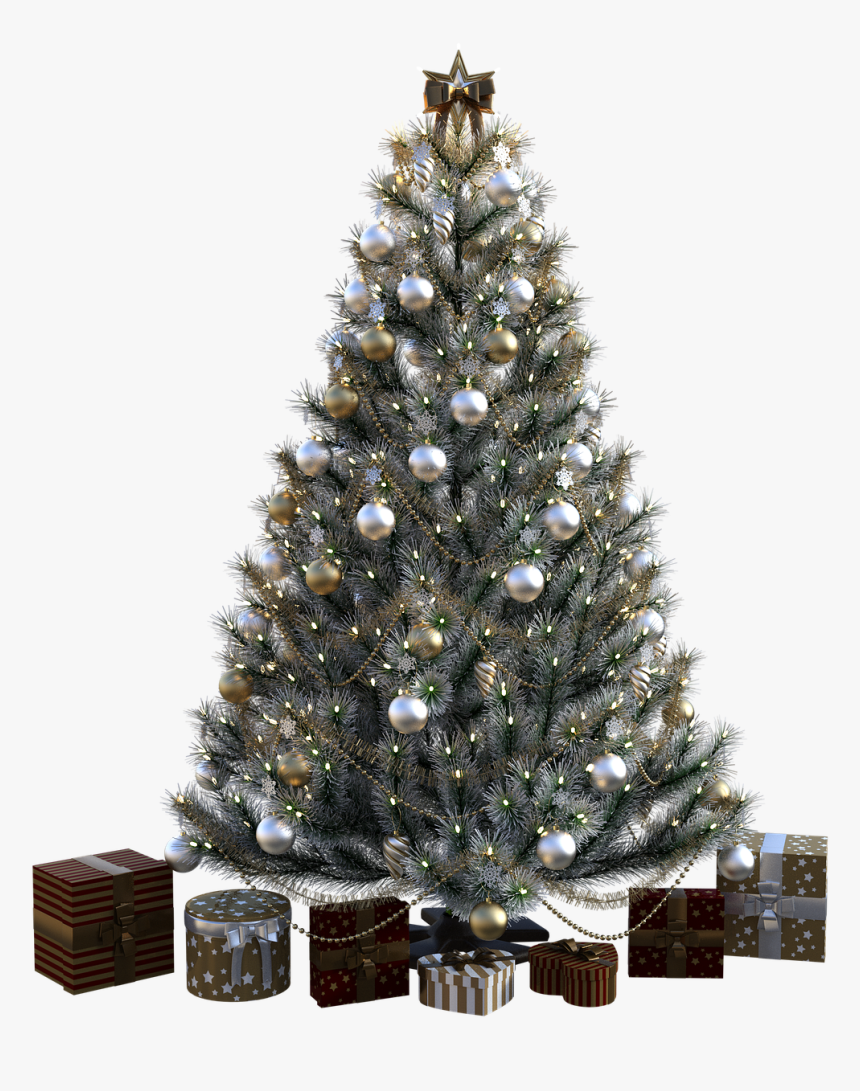 Tannenbaum Transparent, HD Png Download, Free Download