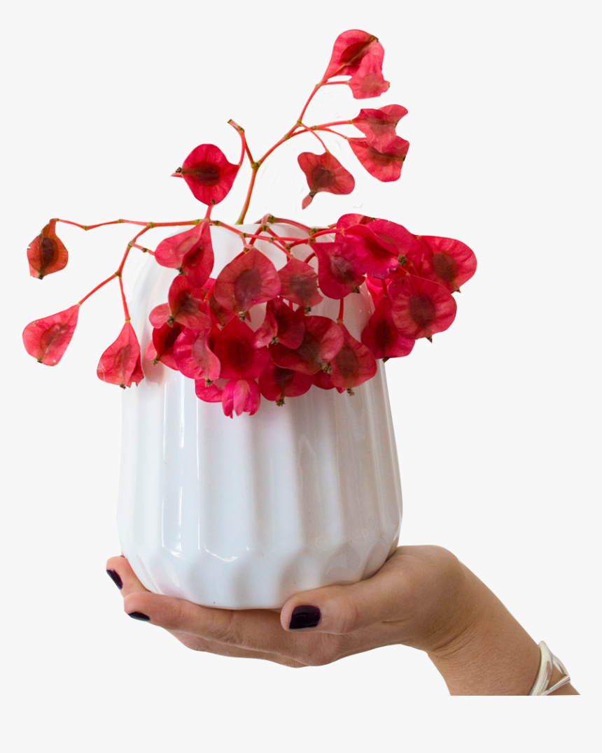 Bouquet, HD Png Download, Free Download