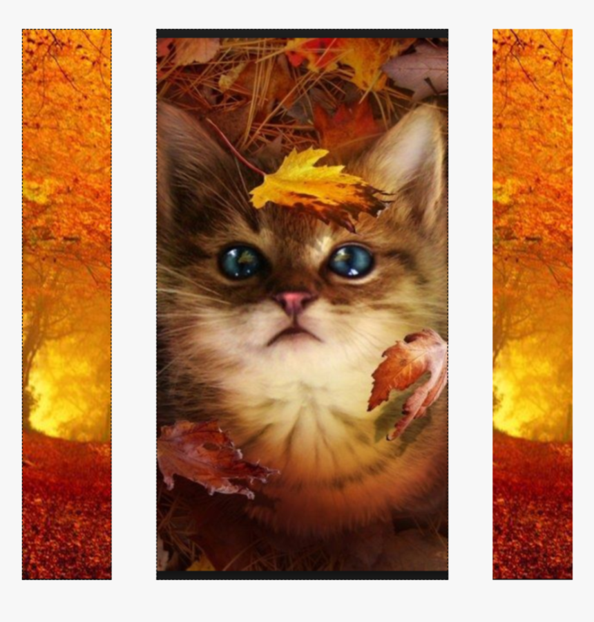 Autumn Clan Banner - Autumn Kitten, HD Png Download, Free Download