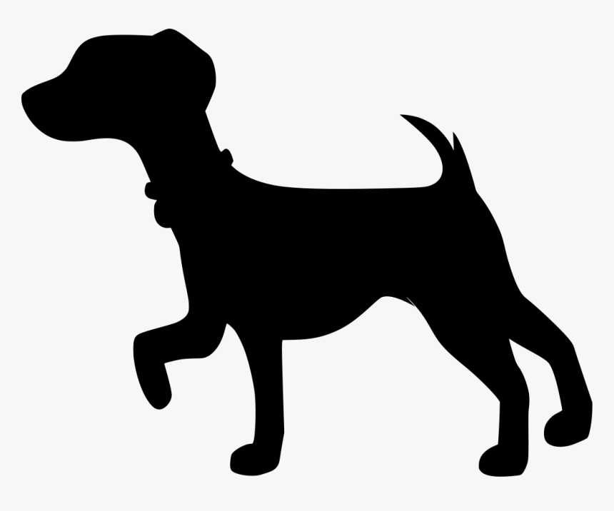 Companion Dog, HD Png Download, Free Download