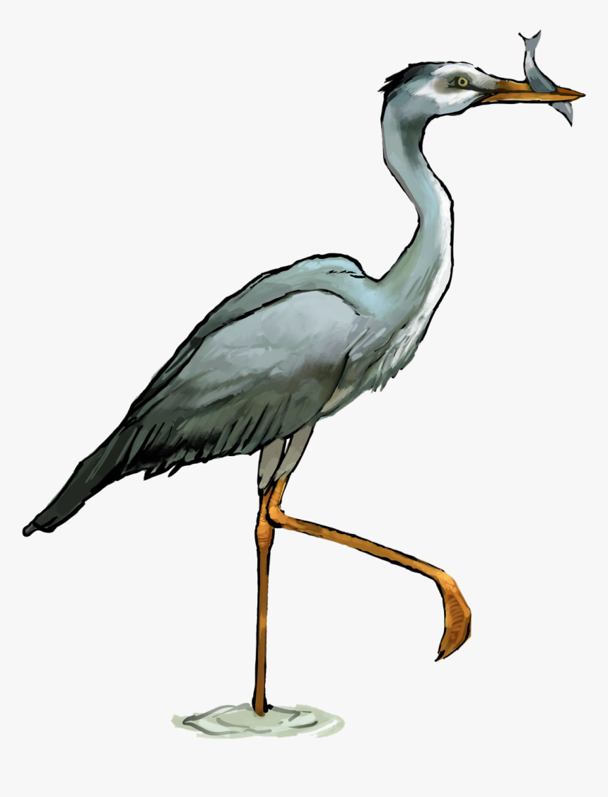 Heron Png Transparent - Heron Png, Png Download, Free Download