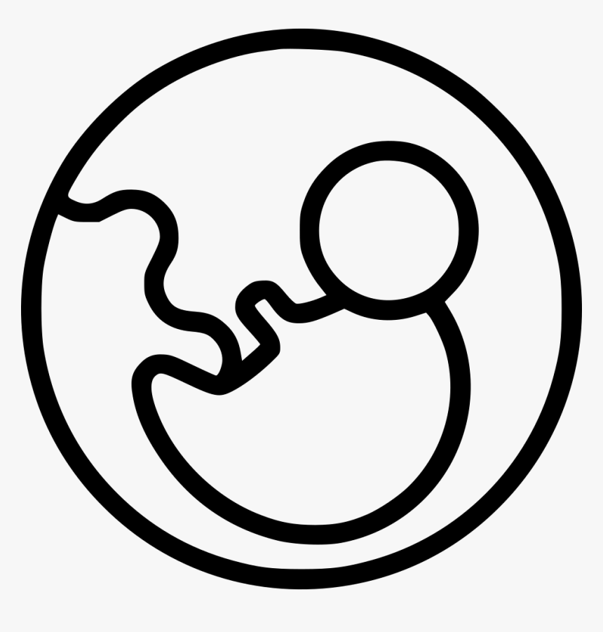 Baby Biology Healthy Pragnancy Pregnant Nedical Nutrition - Health, HD Png Download, Free Download