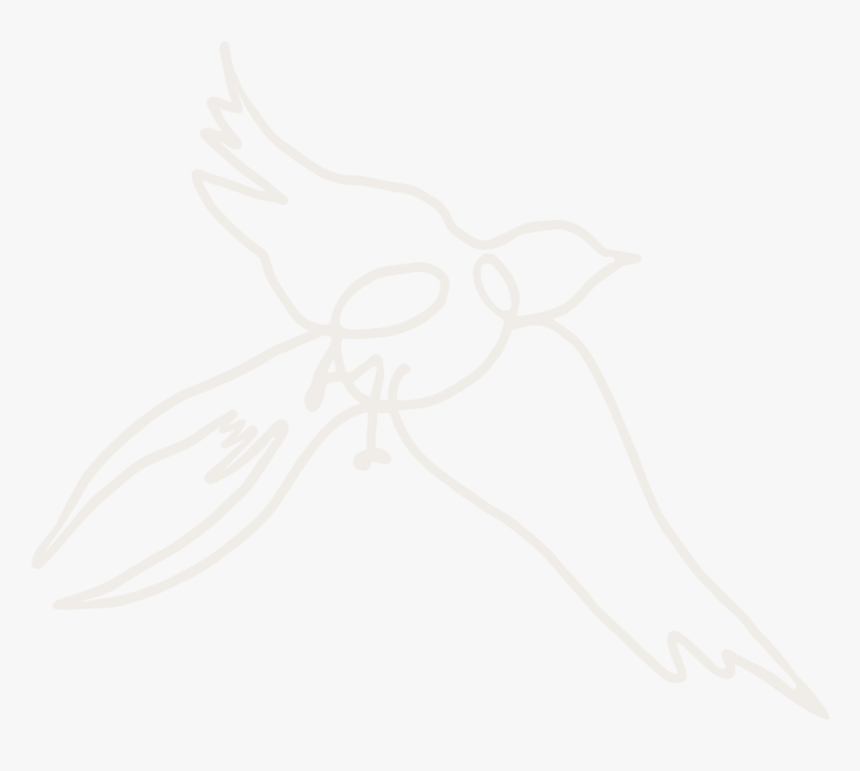 Kristin Cronic Bird Blush - Drawing, HD Png Download, Free Download