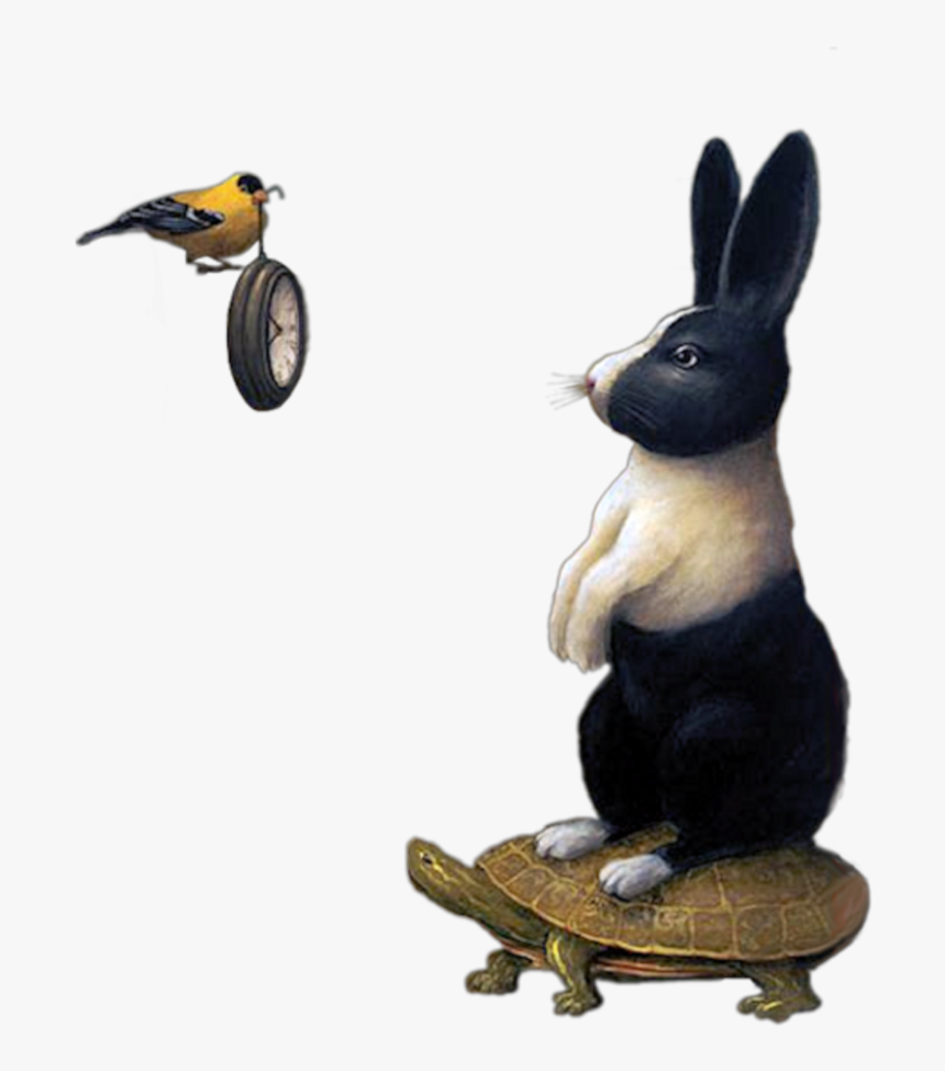 #surreal #rabbit #bird #watch #freetoedit - Domestic Rabbit, HD Png Download, Free Download