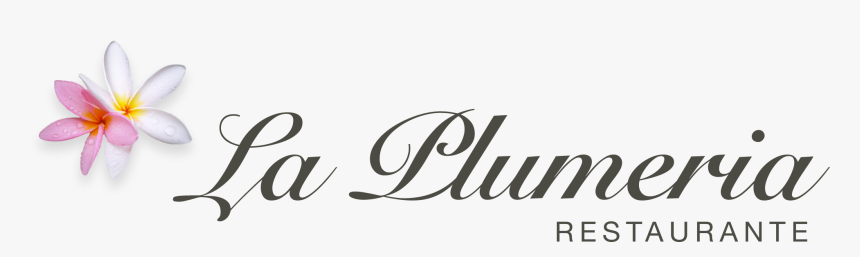 La Plumeria Restaurante Logo - Calligraphy, HD Png Download, Free Download